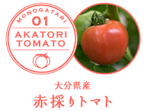 大分県産 赤採りトマト