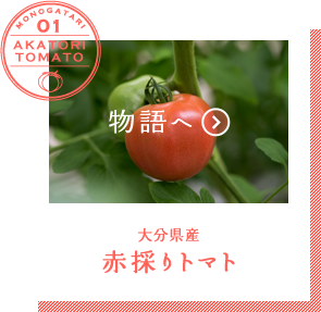 赤採りトマト